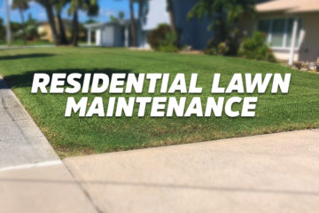 Residential Lawn Maintenance