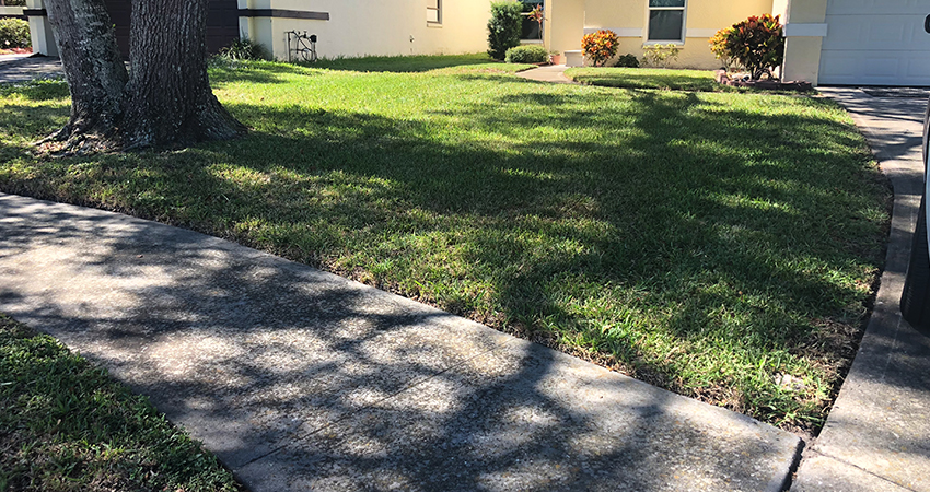 beachside lawn care residential lawn maintenance