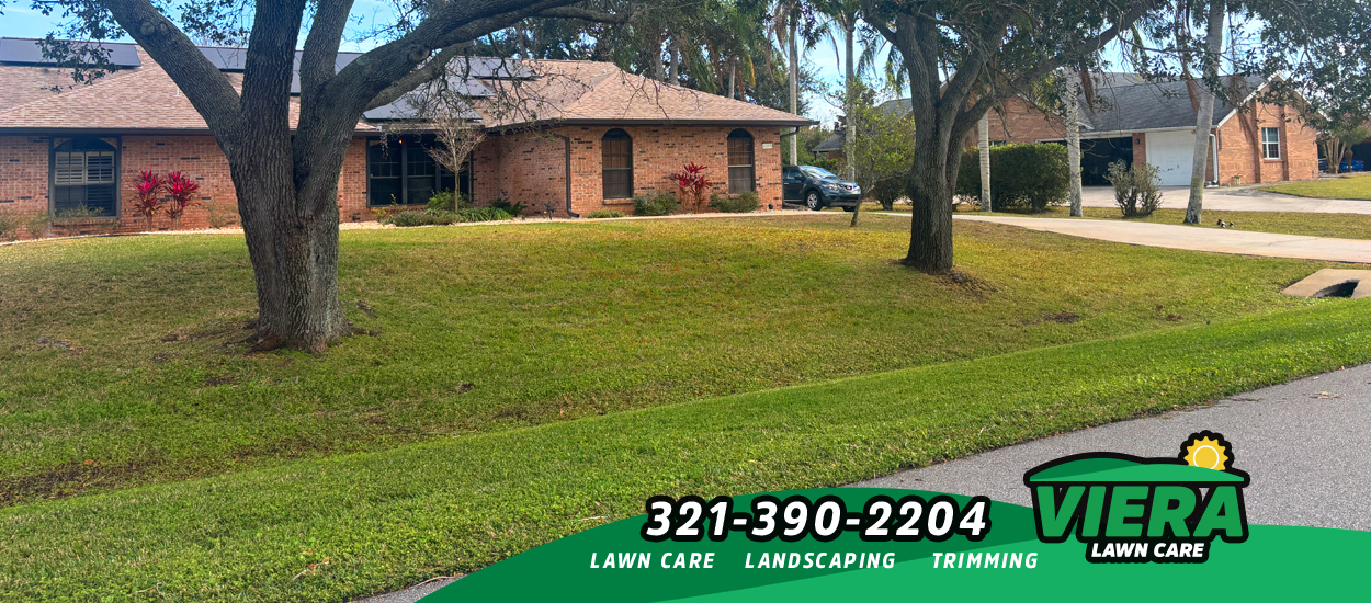 Viera Lawn Company - Viera Lawn Care - Landscaping Design